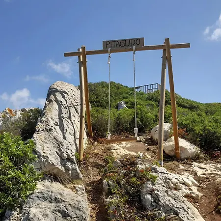 Do Baloico Do Pitagudo 托里什韦德拉什